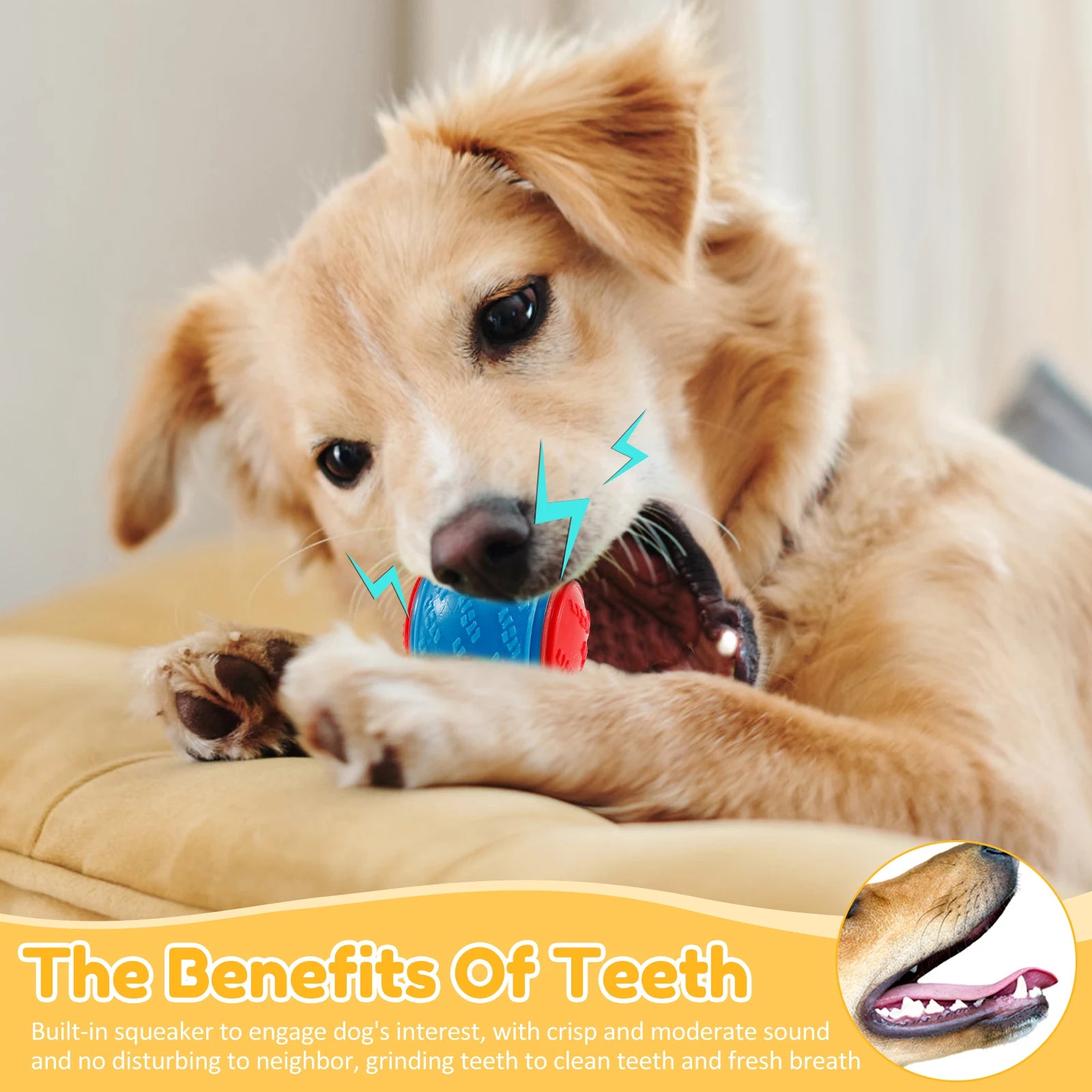 1Pcs Squeaky Balls Toys Dogs Interactive  Dog Chew Toy