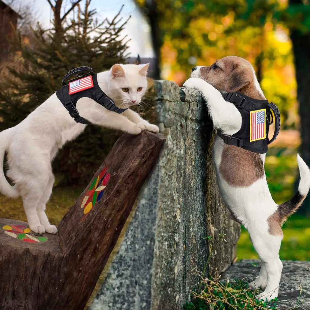 Tactical Puppy Harness Leash Set For Small Dogs