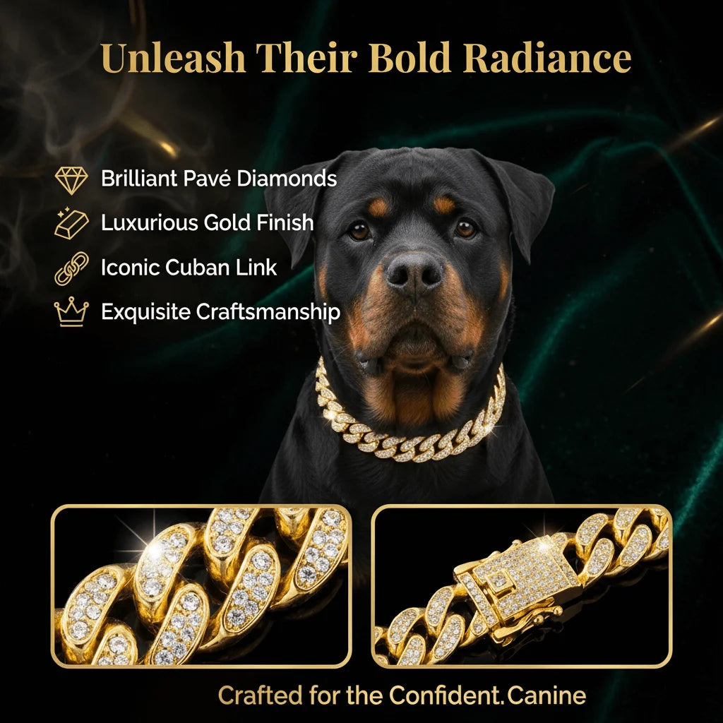 Luxury Hip Hop Dog Collar, Gold Tone Stainless Steel Chain,