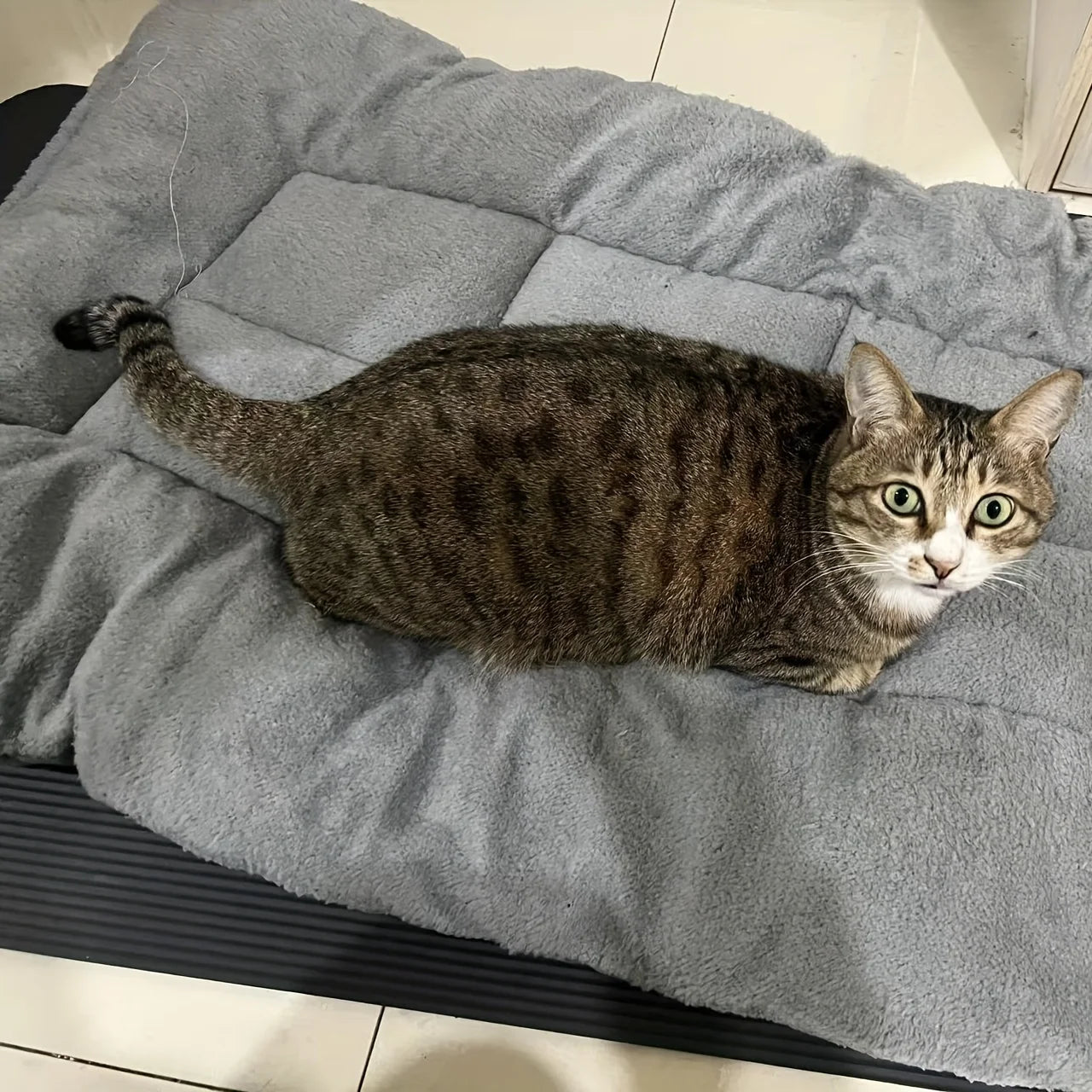 Oversized Plush Dog Bed Sofa Crate Pad Ultra Soft