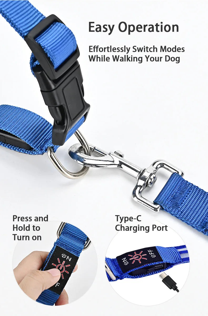 Light Up Dog Collar Night Walk Color LED Glowing