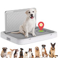 Portable Dog Potty Tray with Pee Wall.