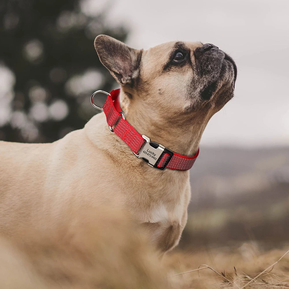 Custom Dog Martingale Collar Nylon Reflective Dog Collars With Engraving